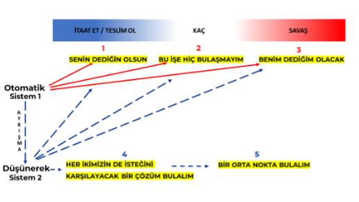 BlogPost1_graph